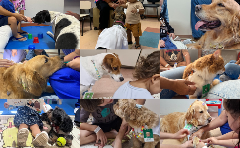 Pet Terapia transforma rotina hospitalar e fortalece cuidado humanizado no HE-UFPel