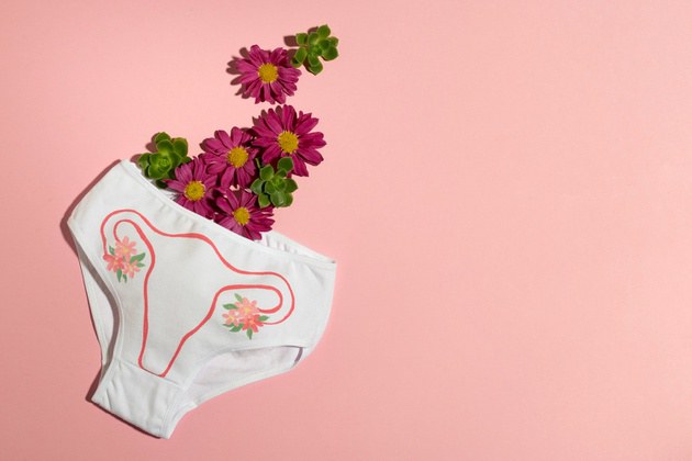 Pesquisa realizada no Huap-UFF destaca importância do autoexame da vulva