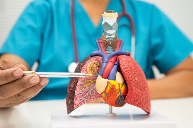 Câncer de pulmão: HU Brasil reforça importância da prevenção e do diagnóstico precoce