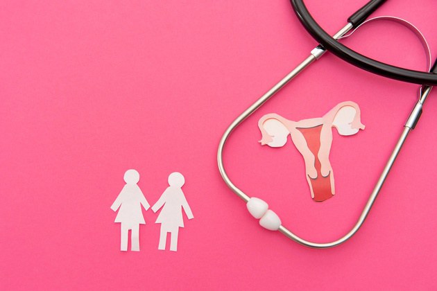 Atendimento ginecológico a mulheres lésbicas requer abordagem sem estigmas