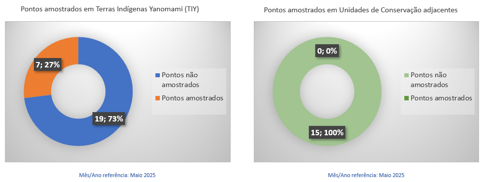 2025-05-30_progresso-projeto-yanomami-2025.png