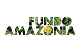 Logomarca do Fundo Amazônia