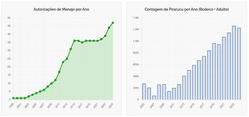 Gráfico