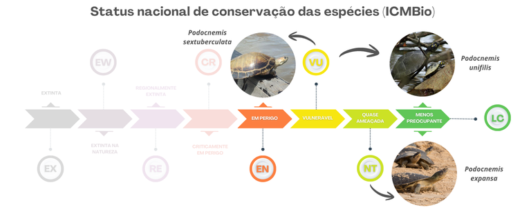 2026-03-23_Status_nacional_de_conservacao_das_especies_ICMBio.png