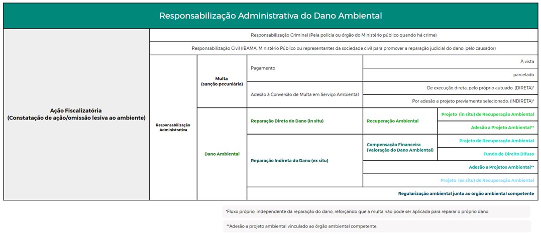 Quadro 1 - Resumo da responsabilização administrativa por dano ambiental