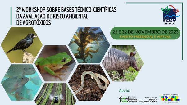 2023-11-06_workshop_bases_tecnico_cientificas_Ibama