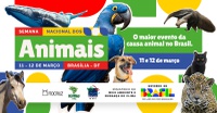 Semana Nacional dos Animais reunirá representantes de todo o país para debater políticas de proteção animal em Brasília