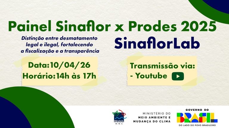 Apresentação técnica do Painel Analítico Sinaflor x Prodes 2025