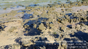 f1a13554-9cde-4b19-8605-8e22800d7ff7.png