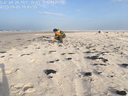 WhatsApp_Image_2019-10-09_at_134712.png