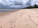 Peraia_de_Intermares_-_0110_-_1.png