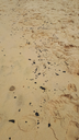 20190907_121228.png