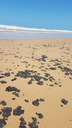 WhatsApp_Image_2019-10-09_at_181049_2.png