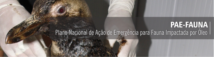 Cabeçalho PAE-Fauna