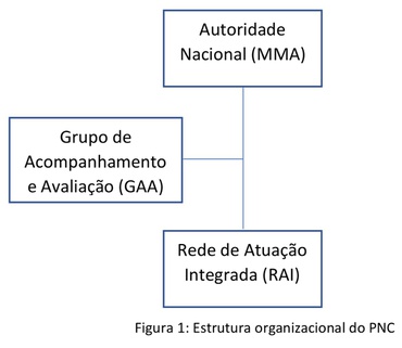 Figura 1: Estrutura organizacional do PNC.