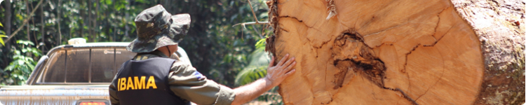 Cabeçalho fiscalização ambiental