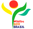 wildfire-2019-brazil2.png