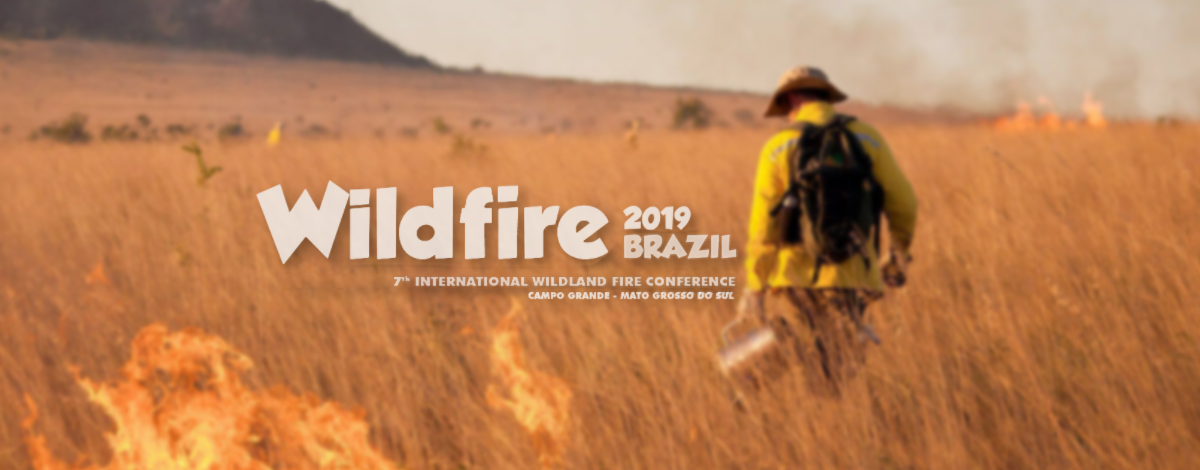 wildfire-2019-en.png