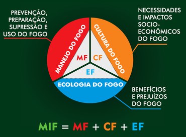 Triângulo do MIF