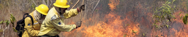 incendios_florestais.jpg