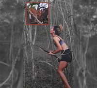 Nota: identificação dos responsáveis pelos maus-tratos e morte da onça-parda