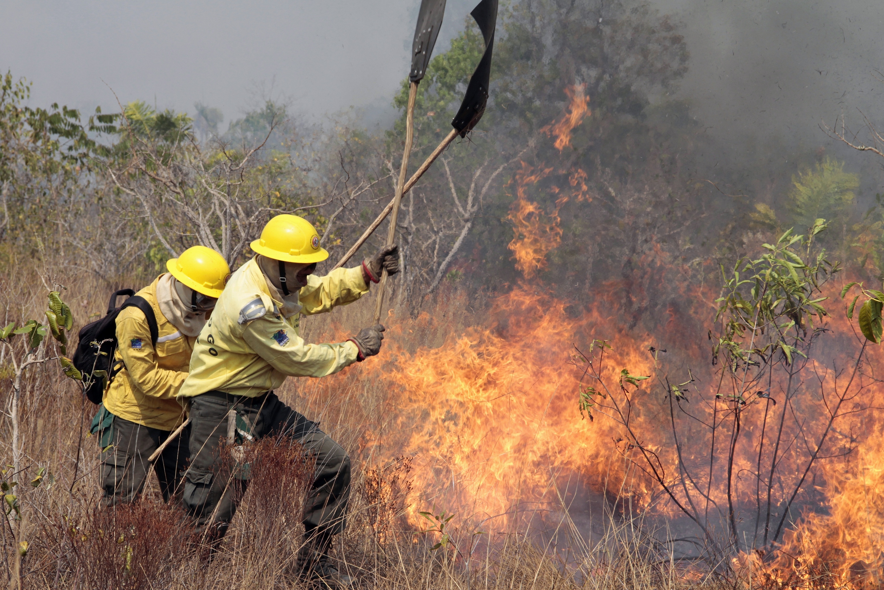 Apague o fogo com um balde de água. incêndios florestais no verão. plano