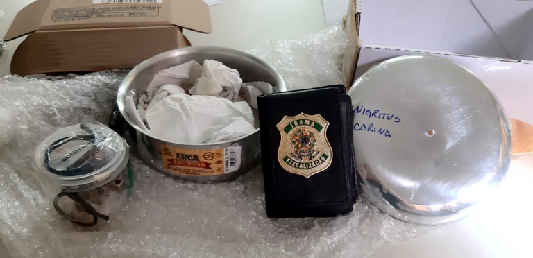 Dentro de meia, Ibama e Correios encontram cobras exóticas no Recife (PE)