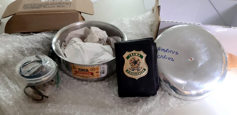 Dentro de meia, Ibama e Correios encontram cobras exóticas no Recife (PE)