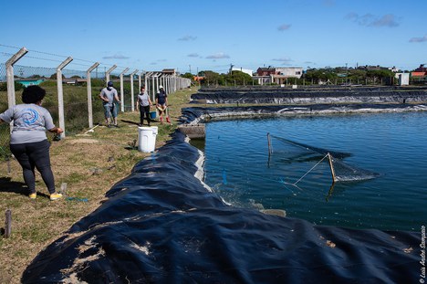 2020-12-24-LA-Sampaio-repovoamento-miragaia-0642-