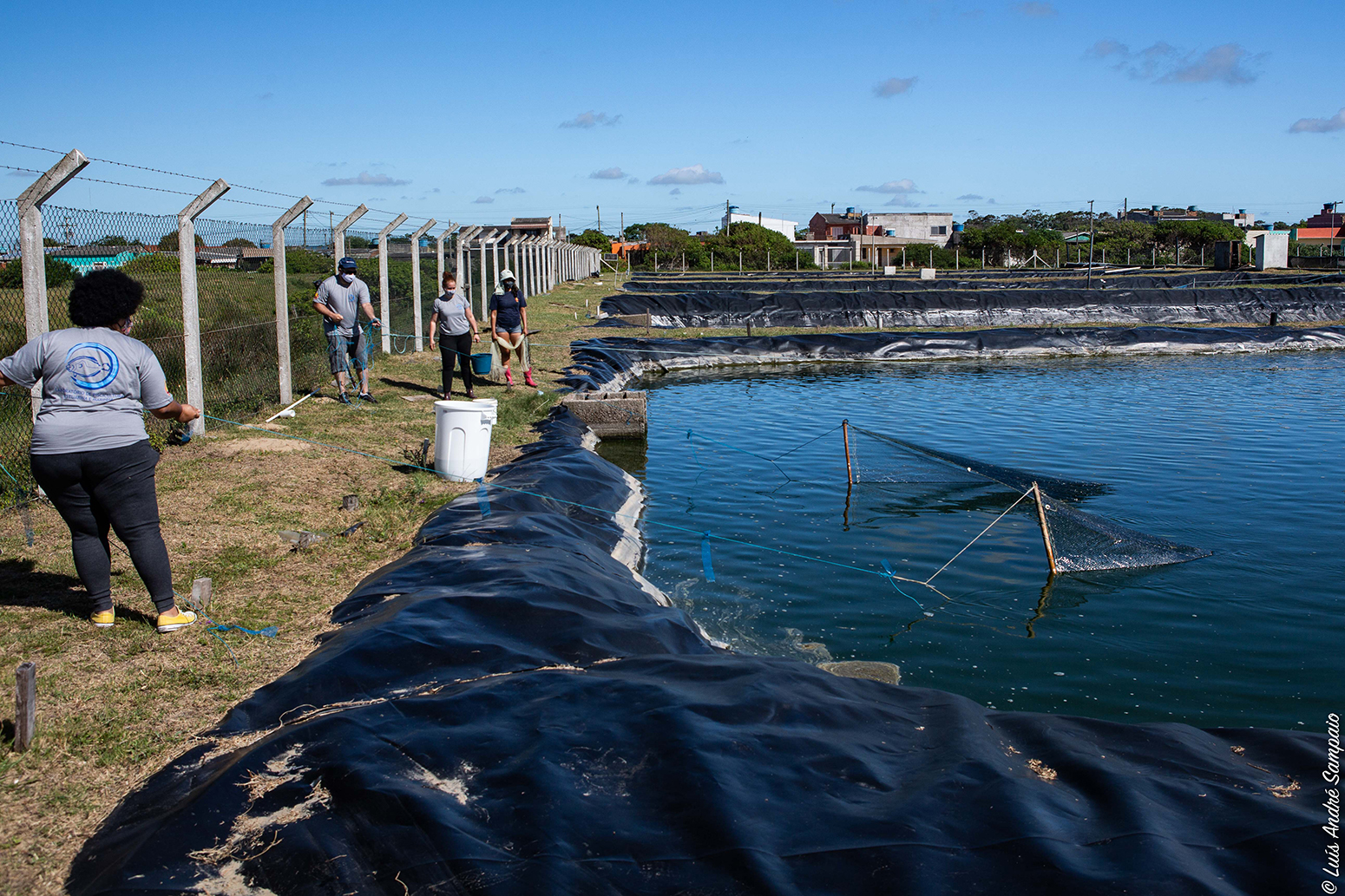 2020-12-24-LA-Sampaio-repovoamento-miragaia-0642-