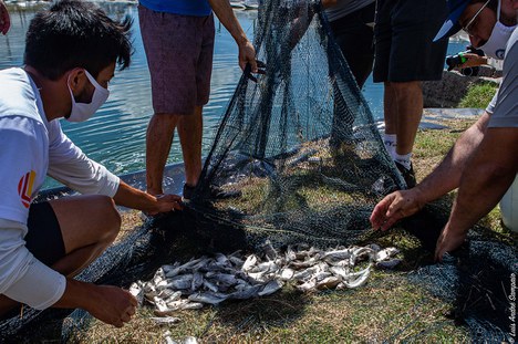 2020-12-24-LA-Sampaio-repovoamento-miragaia-0772-