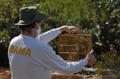 2020-06-18-ibama-soltura-aves-chapada-imperial-02.JPG