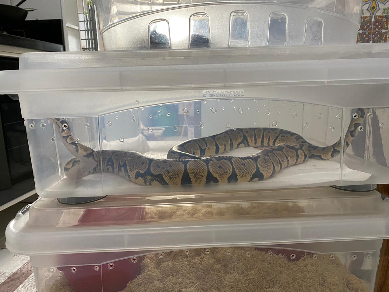 2020-07-28-foto-pf-01