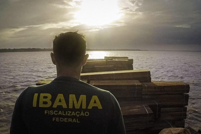 2020-12-08-madeira-exportacao-1-foto-Ibama-DBFlo