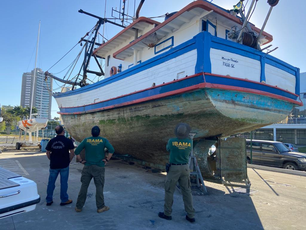 2020-05-28-baleia-jubarte