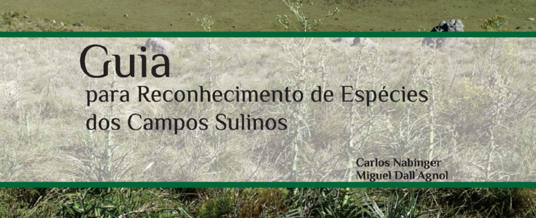 2020-05-15-guia-campos-sulinos-.png