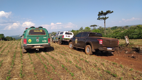 2020-10-28-TI-Parana-acao-conjunta-Ibama-PR