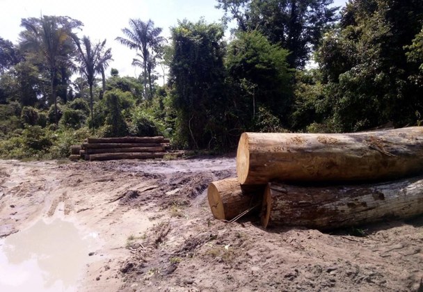 Ibama realiza operação para combater ilegalidades ambientais em Terras Indígenas no Pará