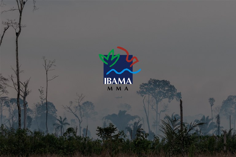 2020-10-12-Nota-esclarecimento-Ibama_Foto-Vinicius_Mendonca
