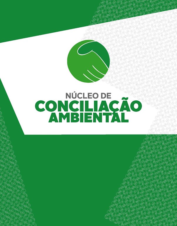 2020-12-04-nucleo-conciliacao-ambiental