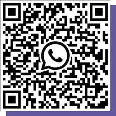 2020-11-05-TSE-Whastapp-chatbot-eleicoes2020-int