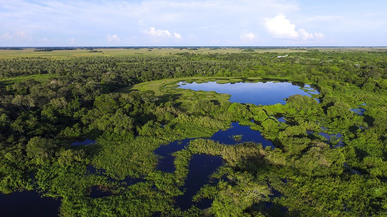 2021-06-02-Pantanal-foto-AdobeStock_290636243
