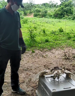 2021-08-18-soltura-aves-se