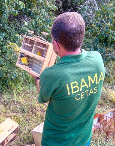 2021-11-16_Soltura_passaros_apreensao_Ibama_SE