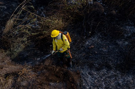 2021-05-12-comite-de-fogo-ms-Ibama3