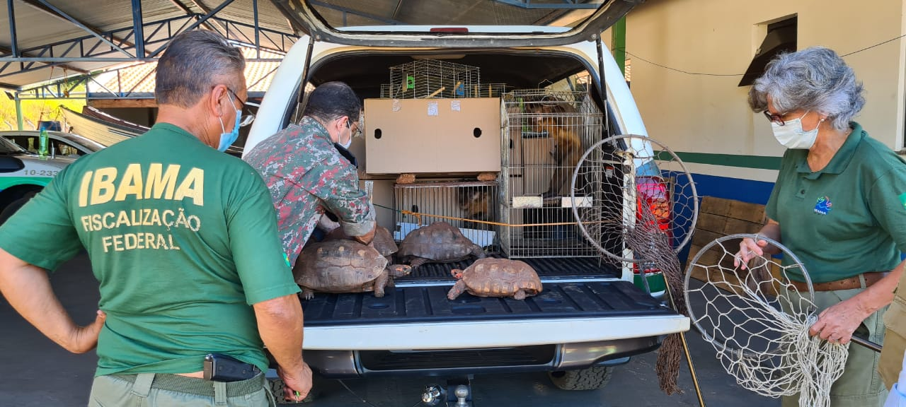 2021-05-05-cativeiro-irregular-MS-Ibama