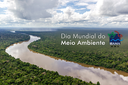 2021-06-01-semana-meio-ambiente-Ibama