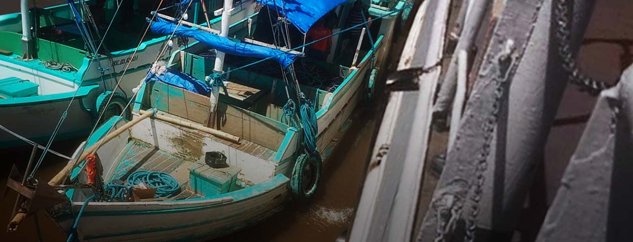 2021-10-14-Pescado-1