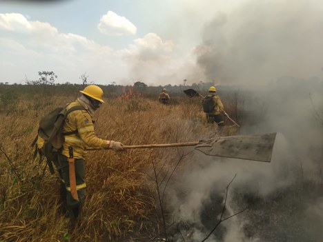 2021-09-21-BRIFs-TO2