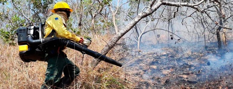 2021-09-17-contratacao-brigadistas-Ibama